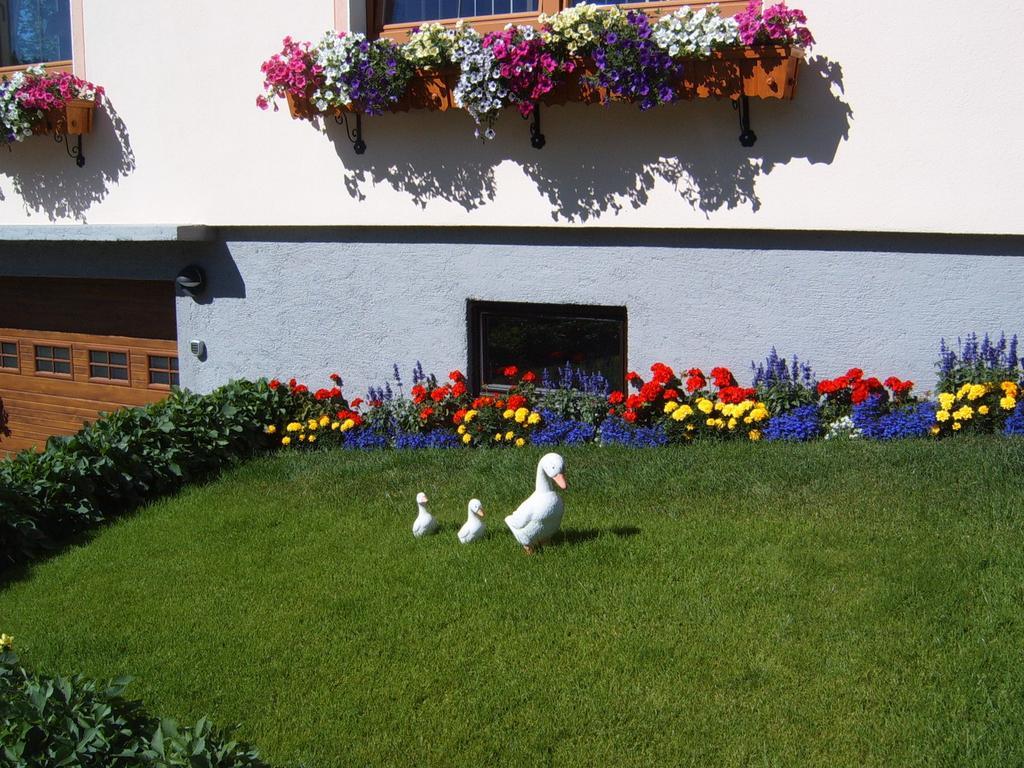Pension Felsenheim Ramsau am Dachstein Eksteriør billede