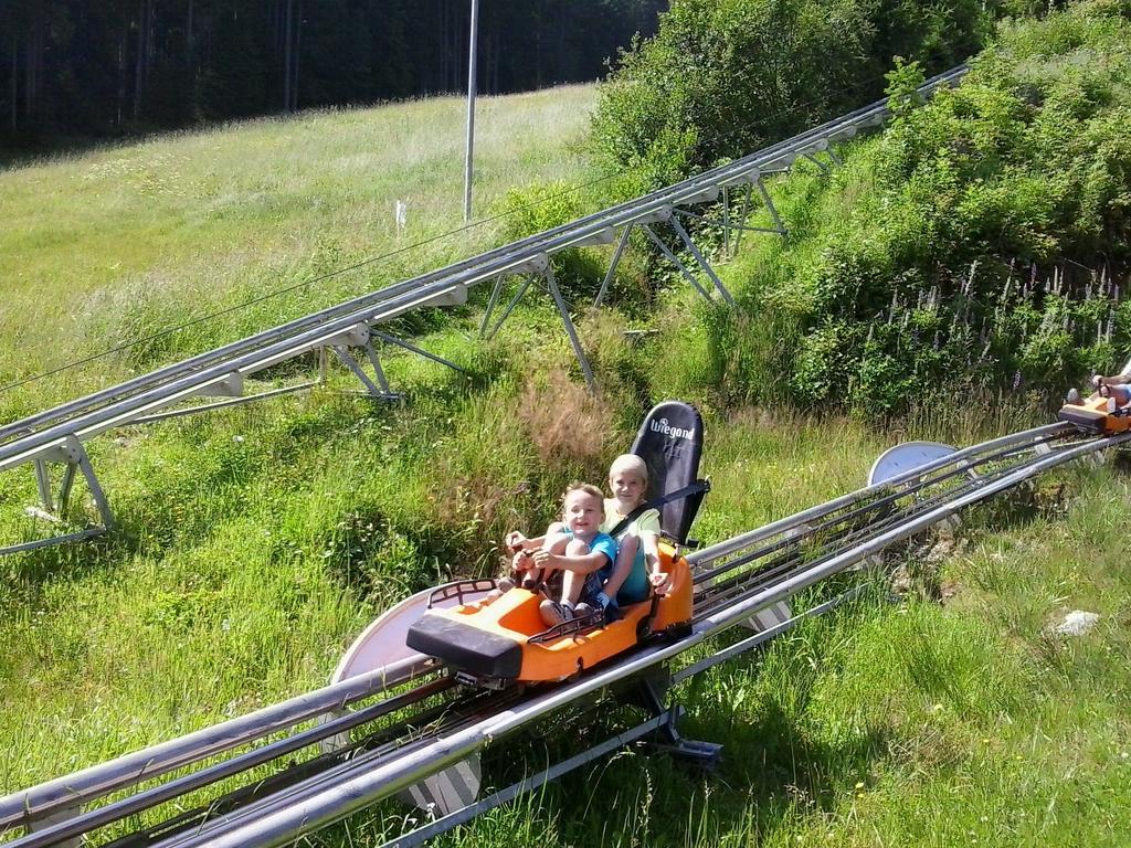 Pension Felsenheim Ramsau am Dachstein Eksteriør billede