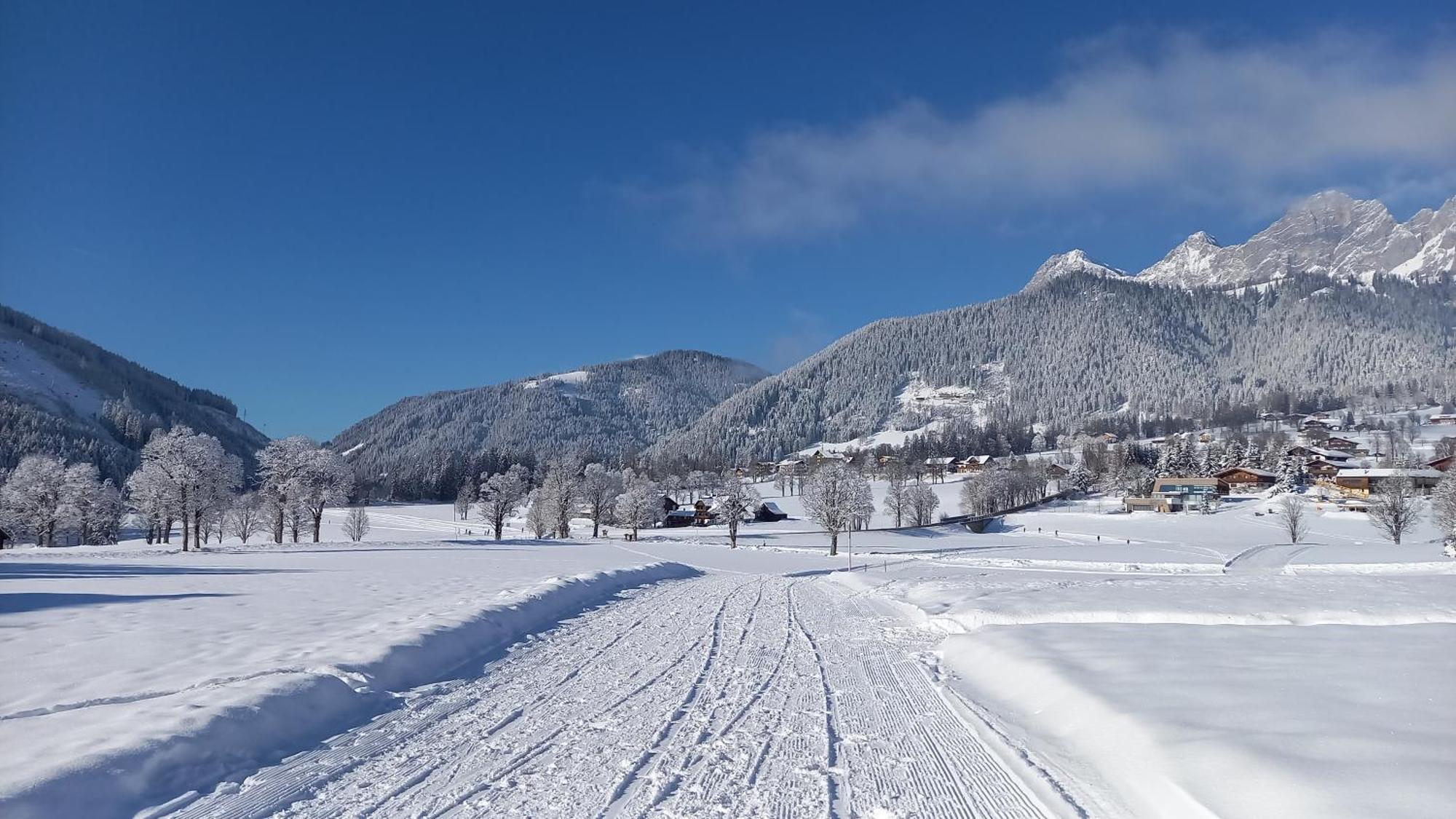 Pension Felsenheim Ramsau am Dachstein Eksteriør billede