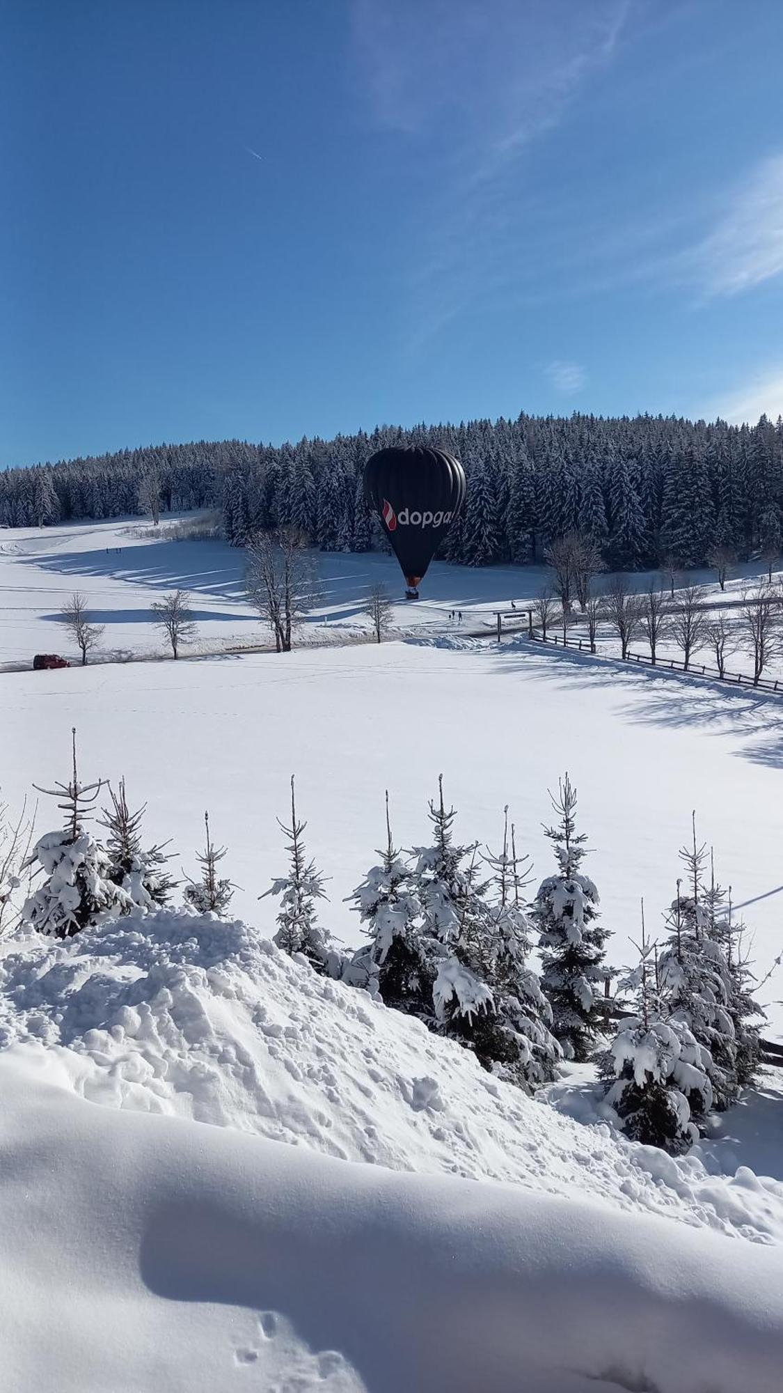 Pension Felsenheim Ramsau am Dachstein Eksteriør billede